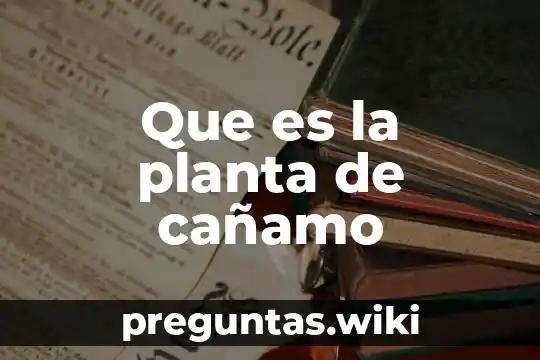Que es la planta de cañamo