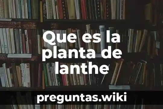 Que es la planta de lanthe