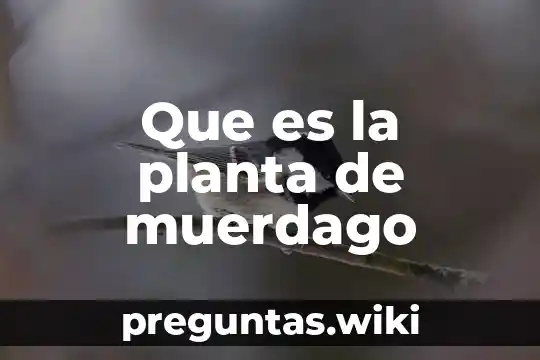 Que es la planta de muerdago