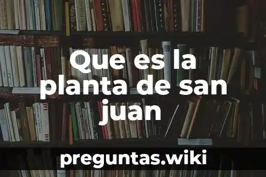 Que es la planta de san juan