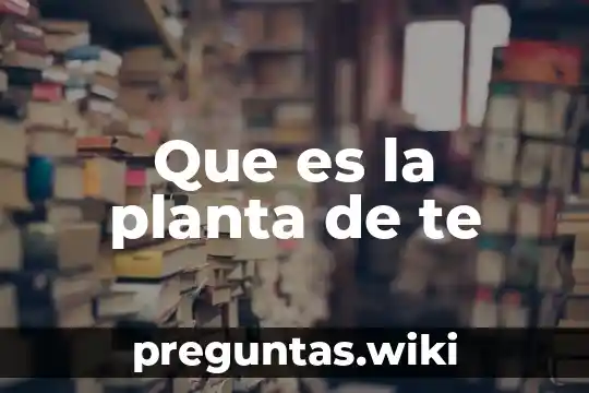 Que es la planta de te