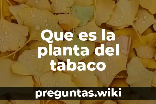 Que es la planta del tabaco