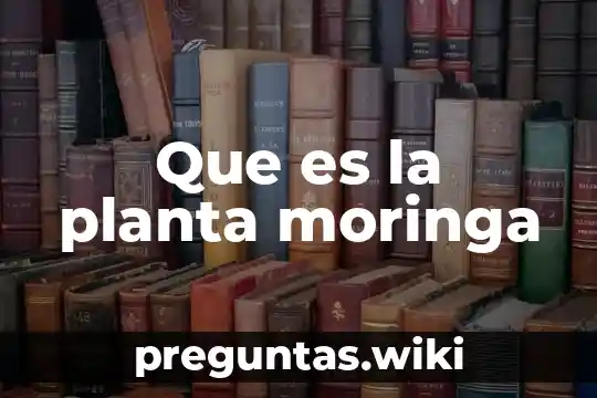 Que es la planta moringa
