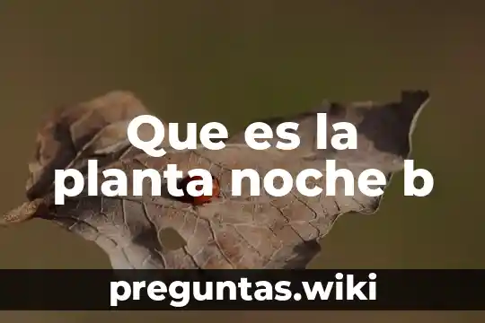 Que es la planta noche b