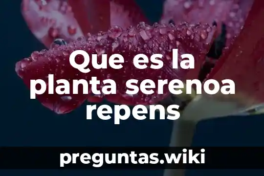Que es la planta serenoa repens