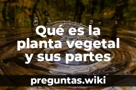 Qué es la planta vegetal y sus partes