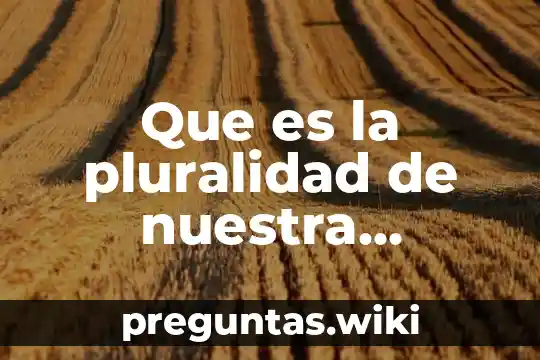 Que es la pluralidad de nuestra sociedad en la sexualidad