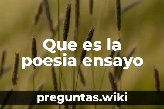 Que es la poesia ensayo