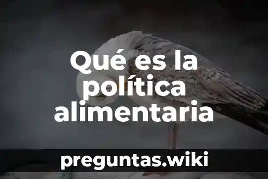 Qué es la política alimentaria