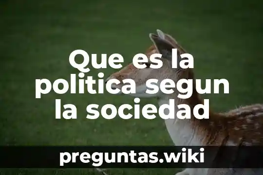 Que es la politica segun la sociedad