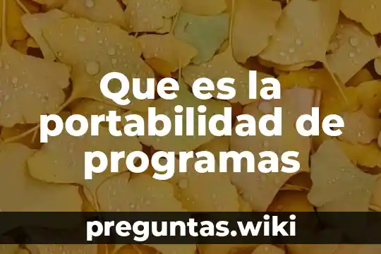 Que es la portabilidad de programas