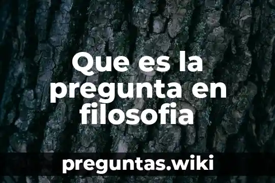 Que es la pregunta en filosofia