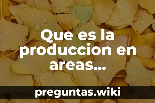 Que es la produccion en areas funcionales de la empresa