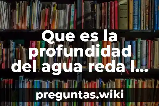 Que es la profundidad del agua reda l y redalyc