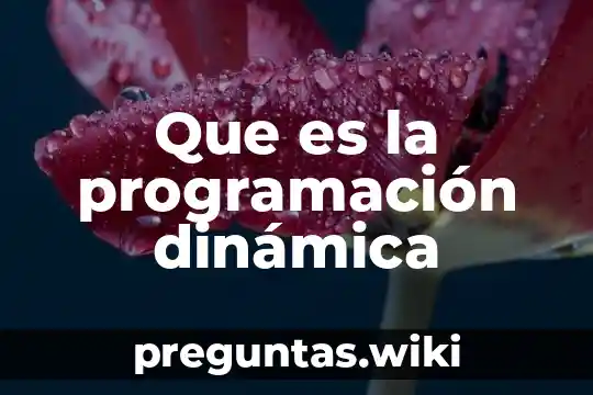 Que es la programación dinámica