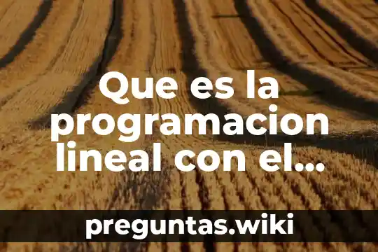 Que es la programacion lineal con el metodo simplex