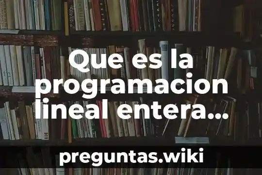 Que es la programacion lineal entera mixta