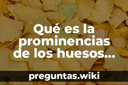 Qué es la prominencias de los huesos teoría