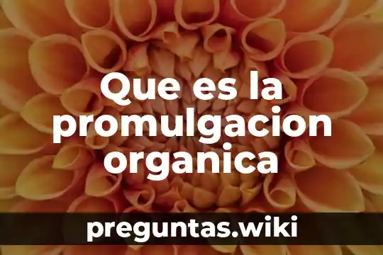 Que es la promulgacion organica