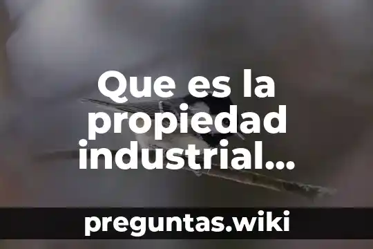 Que es la propiedad industrial indecopi