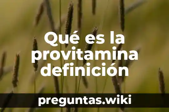 Qué es la provitamina definición