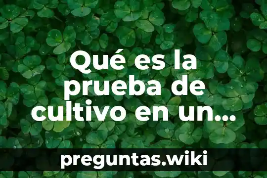Qué es la prueba de cultivo en un embarazo