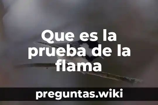 Que es la prueba de la flama
