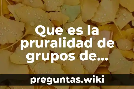 Que es la pruralidad de grupos de pertenencia