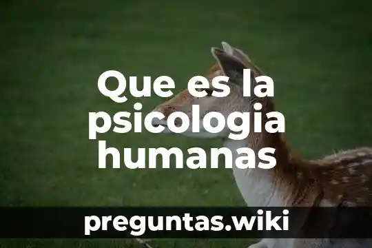 Que es la psicologia humanas