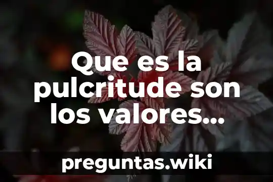 Que es la pulcritude son los valores liberales