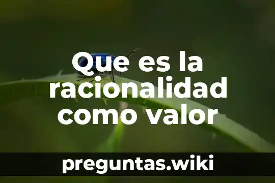 Que es la racionalidad como valor
