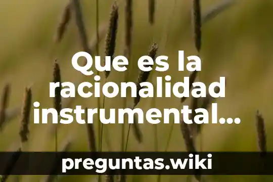 Que es la racionalidad instrumental en educacion