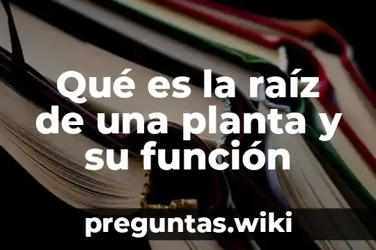 Qué es la raíz de una planta y su función