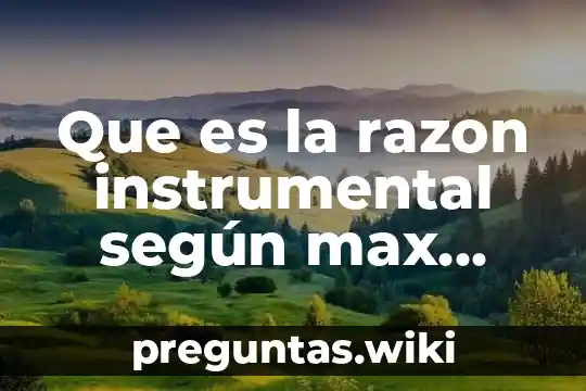 Que es la razon instrumental según max horkheimer