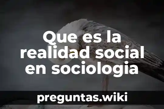 Que es la realidad social en sociologia