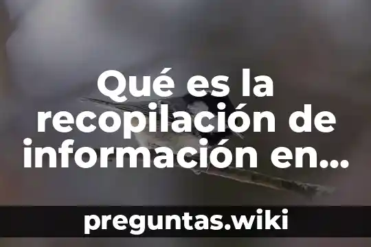 Qué es la recopilación de información en primeros auxilios