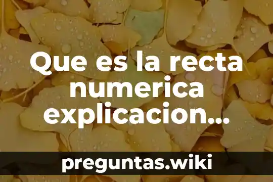 Que es la recta numerica explicacion para niños