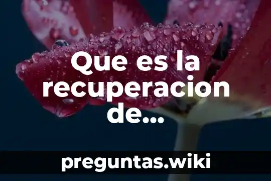 Que es la recuperacion de conocimientos previos