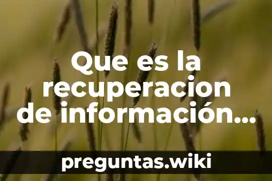 Que es la recuperacion de información en sistema operativo