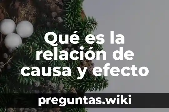Qué es la relación de causa y efecto