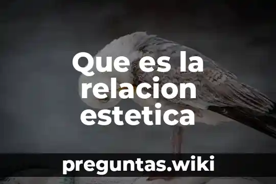 Que es la relacion estetica