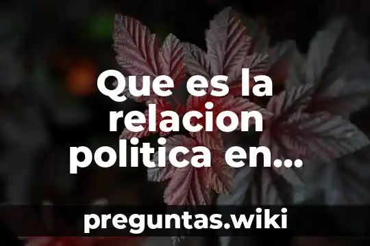 Que es la relacion politica en administracion y empresa