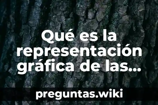 Qué es la representación gráfica de las fracciones