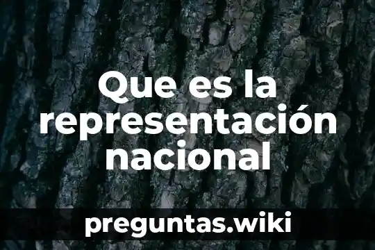 Que es la representación nacional