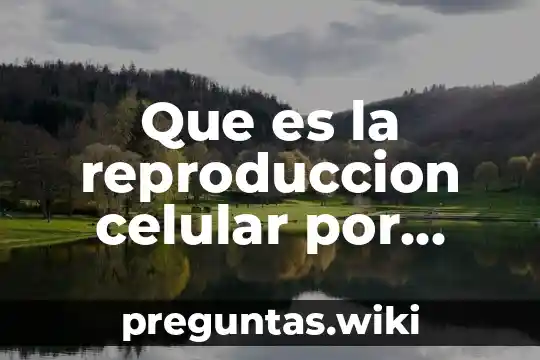 Que es la reproduccion celular por biparticion
