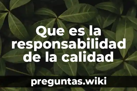 Que es la responsabilidad de la calidad