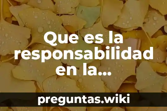 Que es la responsabilidad en la comunidad