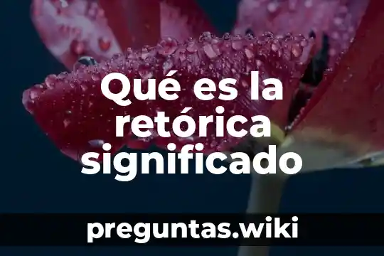 Qué es la retórica significado
