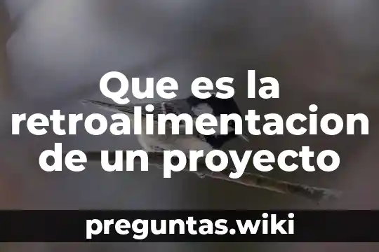 Que es la retroalimentacion de un proyecto