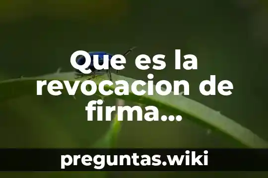 Que es la revocacion de firma electronica